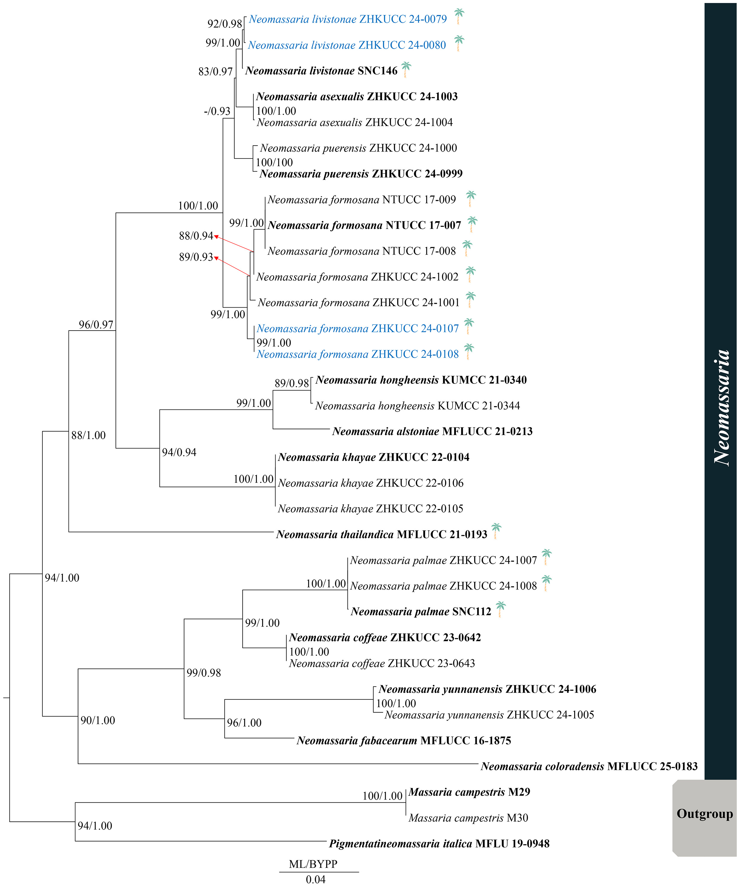 Figure 38